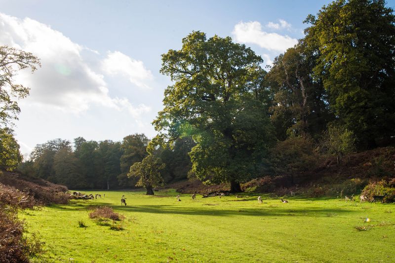 Home Kings Estate Agents